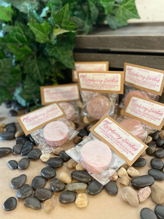 Raspberry Sorbet Oatmeal Loofah Mini Bar Valkyrie Global Natural Skin Care Self Care Beauty St. Catharines Ontario Canada
